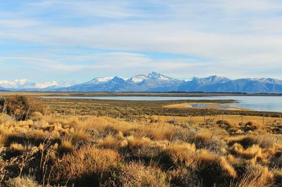 Scenic view of landscape against cloudy sky