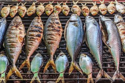 High angle view of fish for sale at market stall