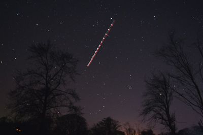 Low angle view of trees against sky at night