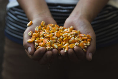 Midsection of man holding sweetcorns