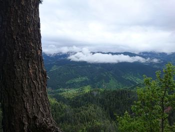 Scenic view of tree mountains against sky