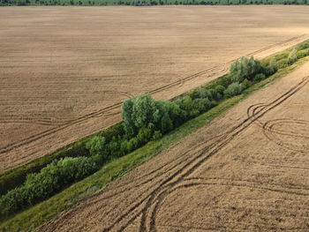 Scenic view of agricultural field