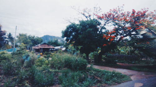 Built structure with trees in background