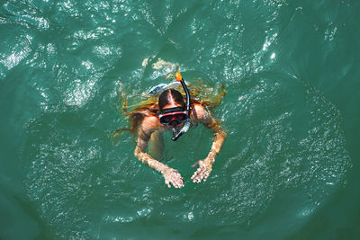 High angle view of man swimming in sea