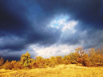 Scenic view of field against cloudy sky