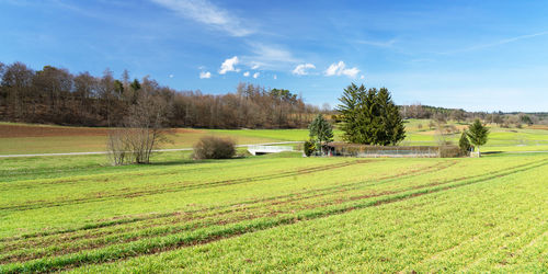 Scenic view of agricultural field against sky