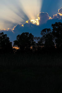 Silhouette trees on field against sky at sunset