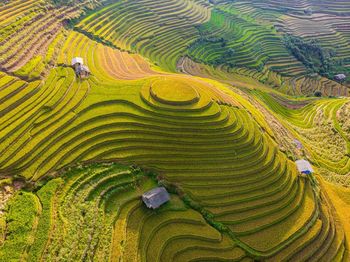 High angle view of agricultural field