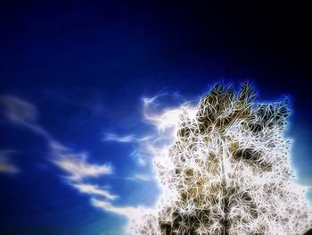 Low angle view of trees against blue sky