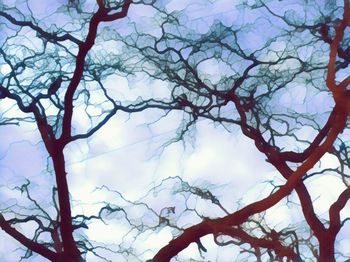 Low angle view of bare tree against sky