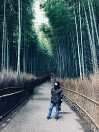 Full length rear view of man walking in forest