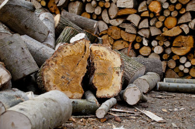 Stack of logs