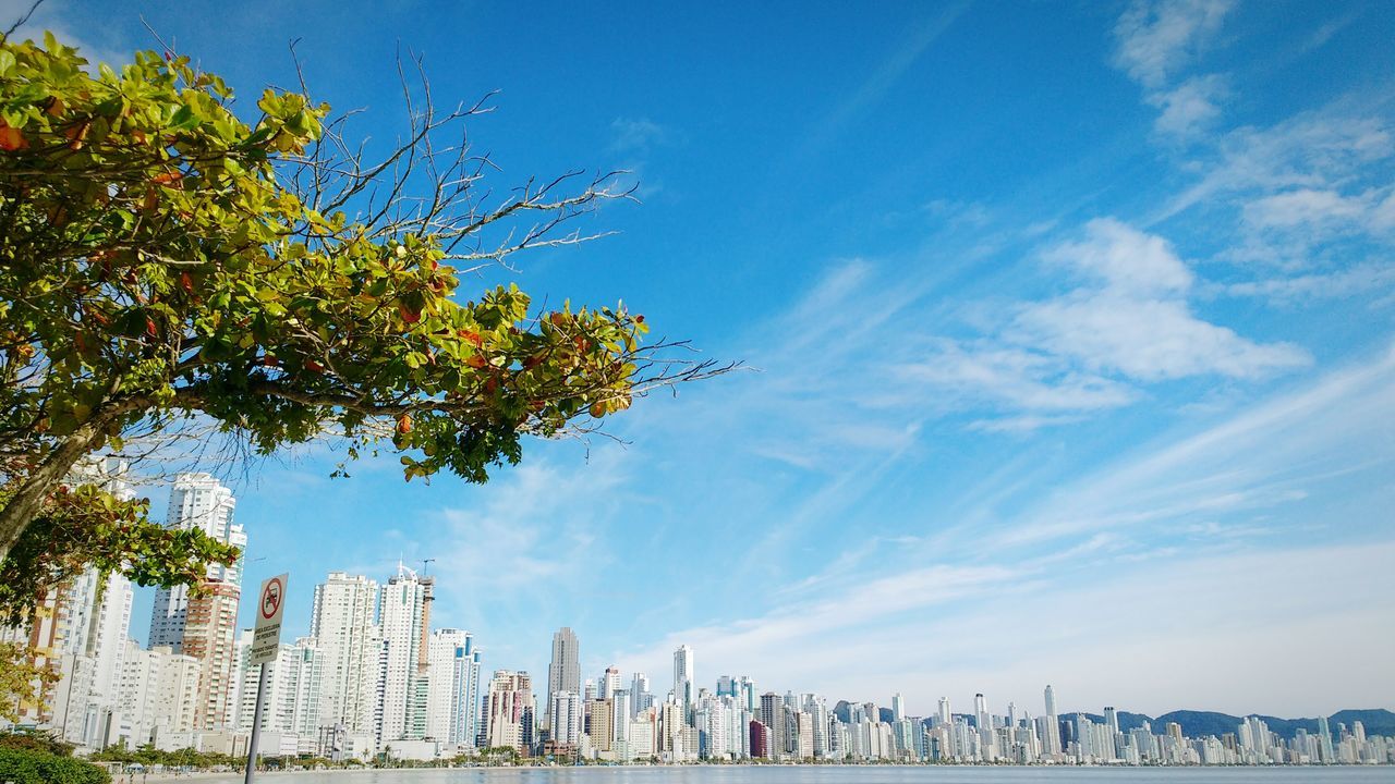 architecture, skyscraper, building exterior, built structure, city, day, cityscape, sky, growth, outdoors, tree, travel destinations, blue, urban skyline, no people, modern, low angle view, nature, beauty in nature