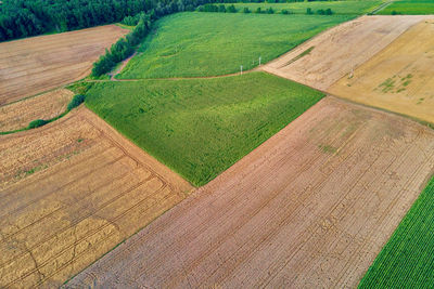 Aerial view of agricultural and green fields in countryside