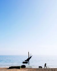 Full length of man walking with dog on shore at beach