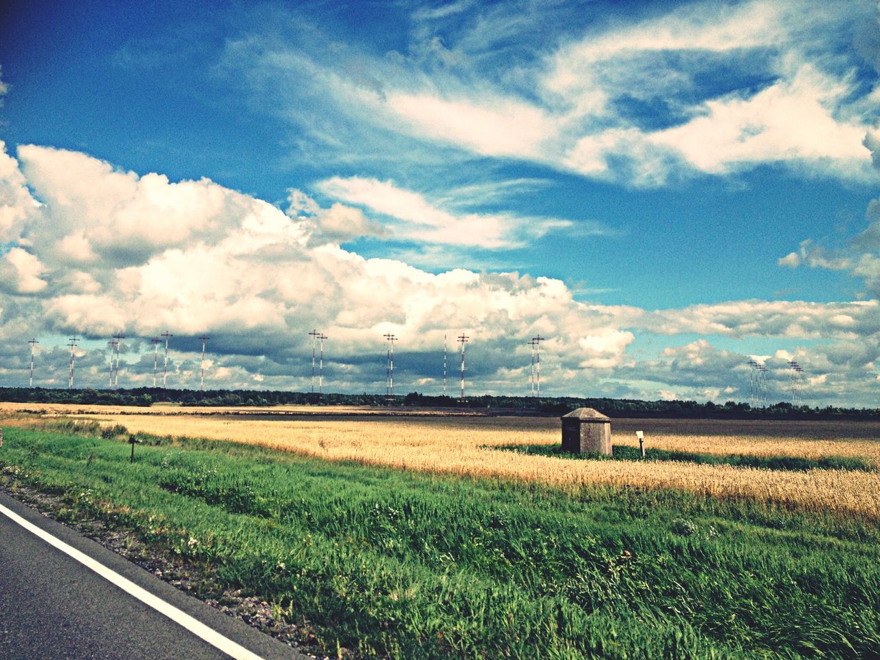 field, sky, landscape, tranquil scene, cloud - sky, grass, rural scene, tranquility, scenics, agriculture, beauty in nature, nature, cloud, cloudy, farm, growth, horizon over land, grassy, plant, day