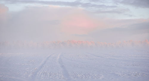 ...when a winter morning as mild as raspberry marshmallow