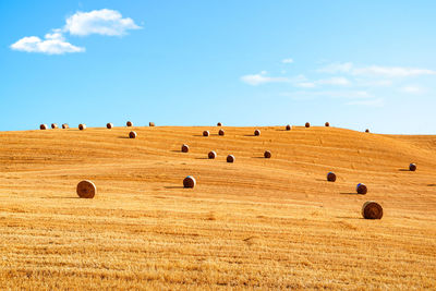 Hay bales on field against sky