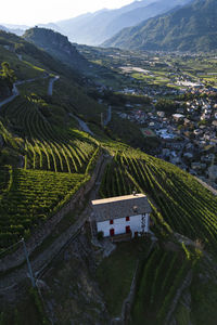 Aerial view of valtellina's terraced vineyards and surroundings at sunrise