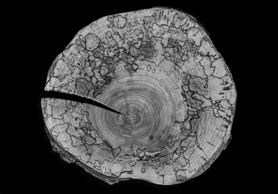 Close-up of fire against black background