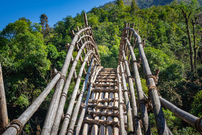 Traditional bamboo bridge for crossing river at forest at morning from flat angle