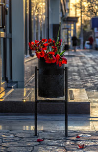 Red flower pot on footpath