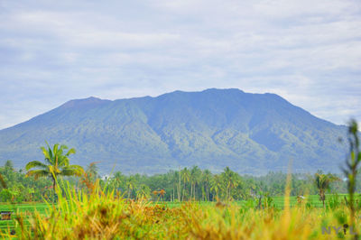 Scenic view of landscape and mountains against sky