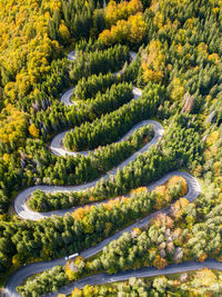 Winding road from high mountain pass, in autumn season, with orange forest. aerial view by drone