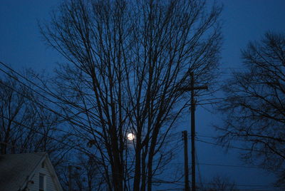 Low angle view of trees against sky