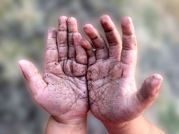 Close-up of person hand holding leaf against blurred background