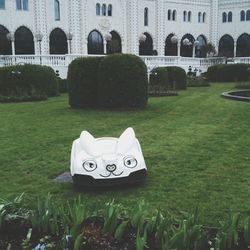 grass