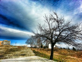 Bare trees against cloudy sky