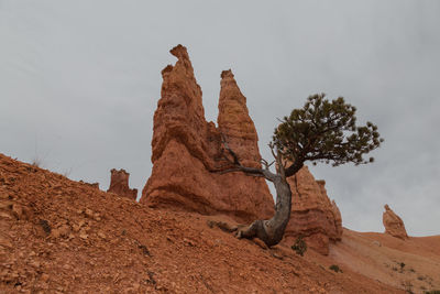 Low angle view of rock formation