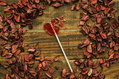 Directly above shot of dry leaves on table