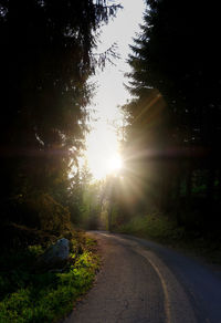 Road amidst trees against bright sun