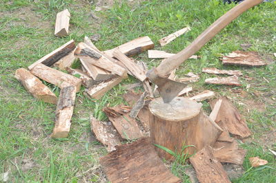 Stack of logs on field