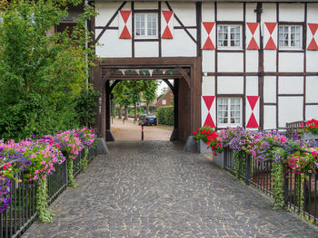 View of flowering plants by building