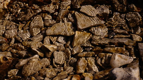 Full frame shot of logs
