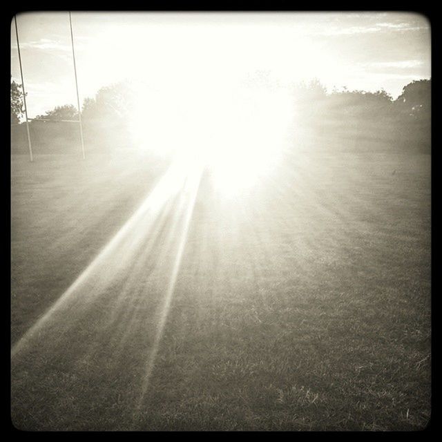 sun, sunbeam, sunlight, lens flare, transfer print, sunny, auto post production filter, bright, sky, tree, tranquility, nature, day, shadow, no people, outdoors, field, tranquil scene, clear sky, landscape