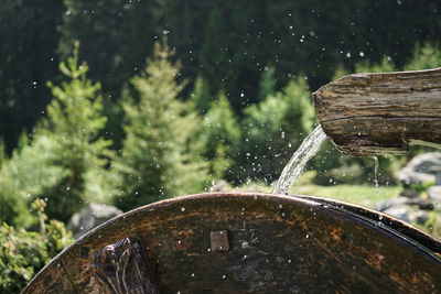 Close-up of rain drops on wood