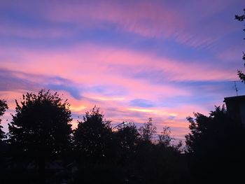 Low angle view of silhouette trees against sky at sunset