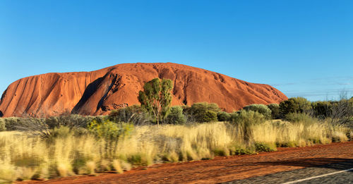 Scenic view of landscape against clear blue sky