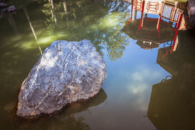 Reflection of trees in water