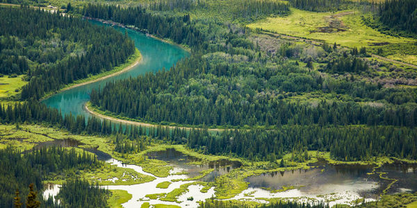 Aerial view of blue river snaking through forest