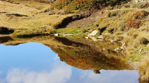 Scenic view of lake amidst trees against sky