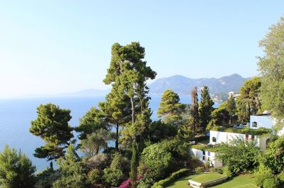 Scenic view of trees against clear sky