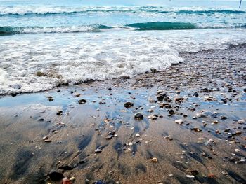 Scenic view of sea