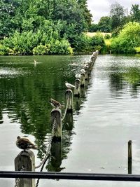 Scenic view of lake