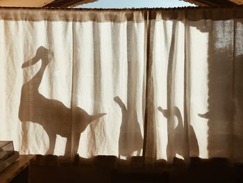Shadow of curtain on floor