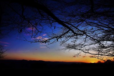 Low angle view of silhouette tree against sky at sunset